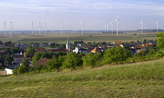 Vin fra Burgenland