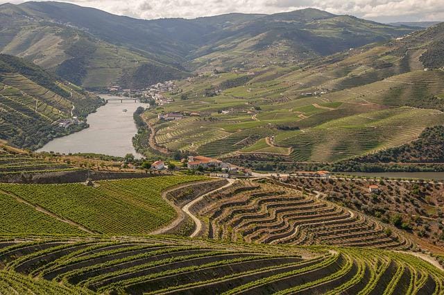 Vinområdet Douro