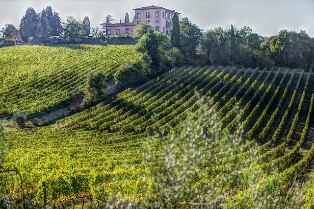 Vinmark i Italien