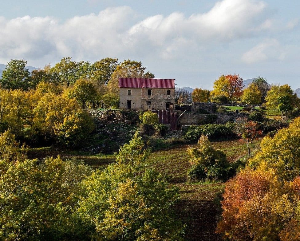 Vingård i Calabria