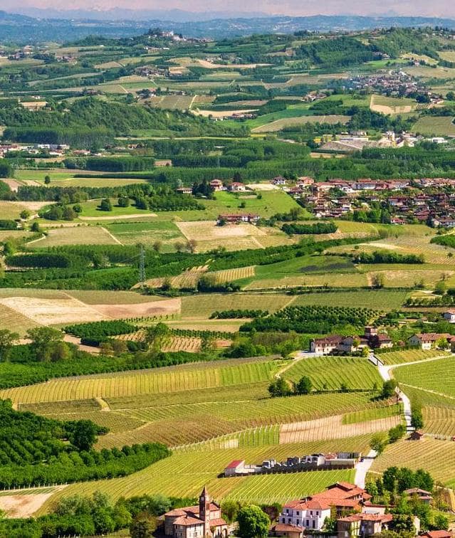 Italiensk vin på gewurztraminer