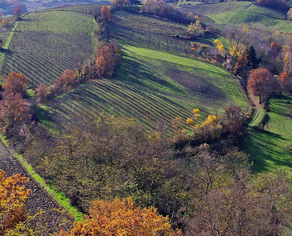 Vinmarker i Emilia-Romagna