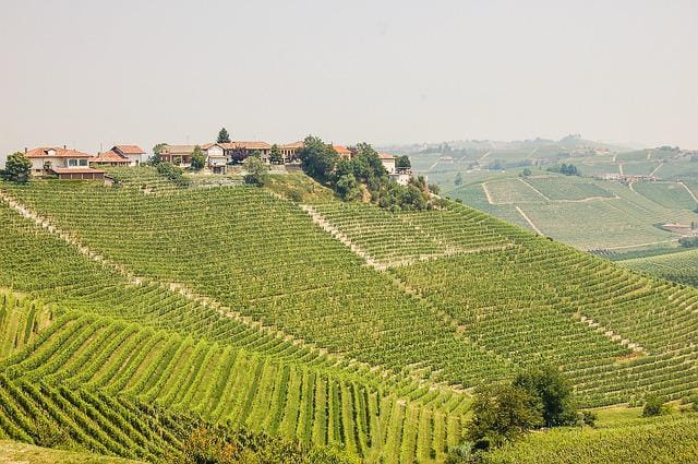 Vinmarker i Piemonte