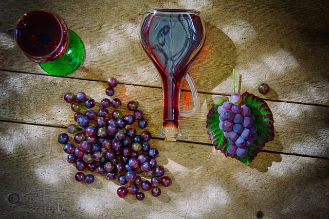 Bio vin og druer